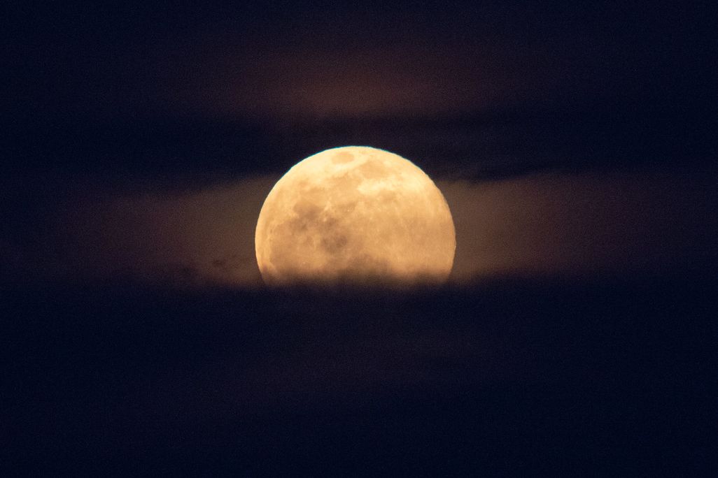 a full moon rises