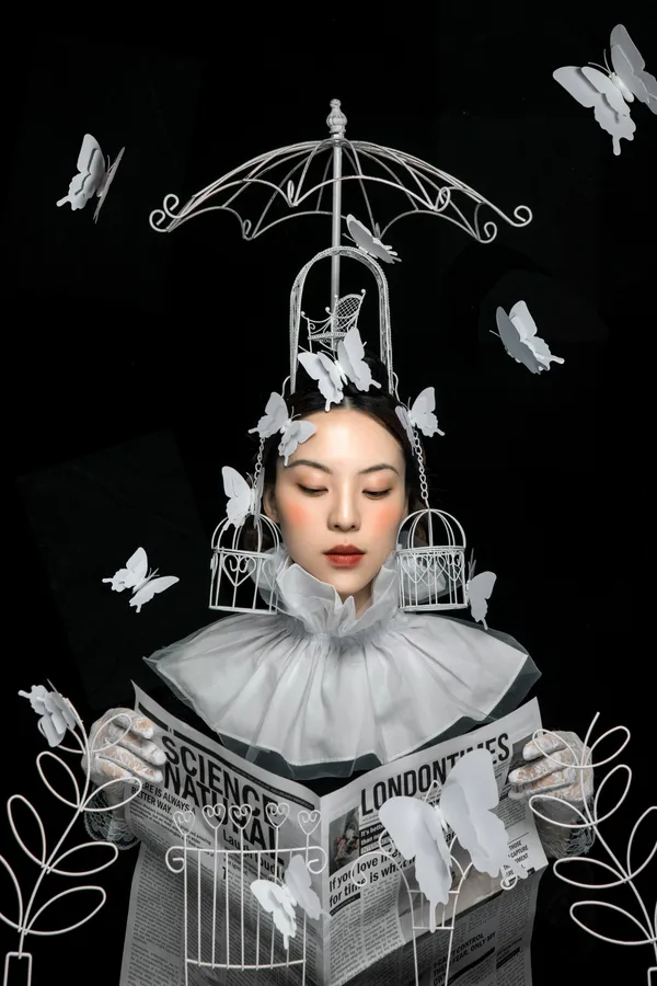 Butterfly Cage and Book thumbnail