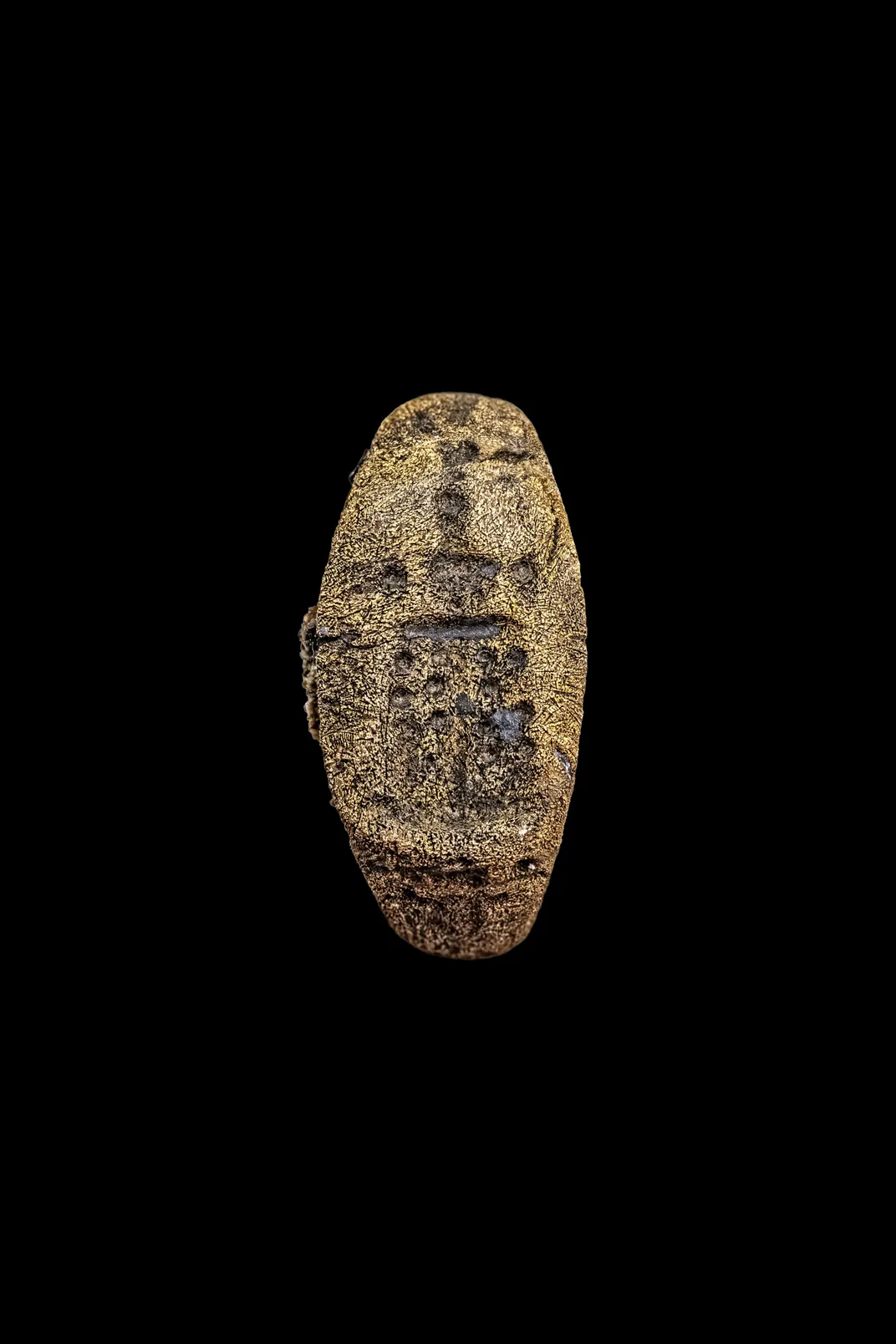 The newly discovered signet ring