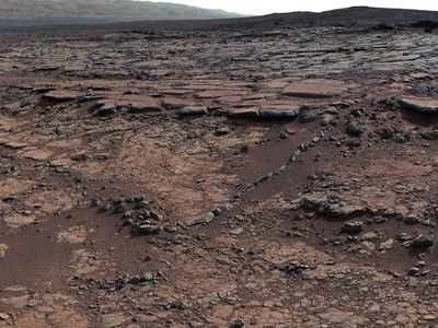 The Sheepbed mudstone, an ancient habitable lake in Gale Crater on Mars.