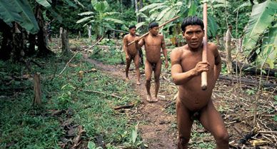 On the lookout for enemies, a warrior named Ta'van leads a patrol through the jungle. Several hundred Indians&mdash;some never seen by outsiders&mdash;live in the Amazon's Javari Valley.