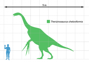 20110520083219Therizinosaurus-300x209.jpg