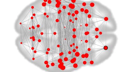 Can a &lsquo;Fingerprint&rsquo; of Your Brain Help Predict Disorders?