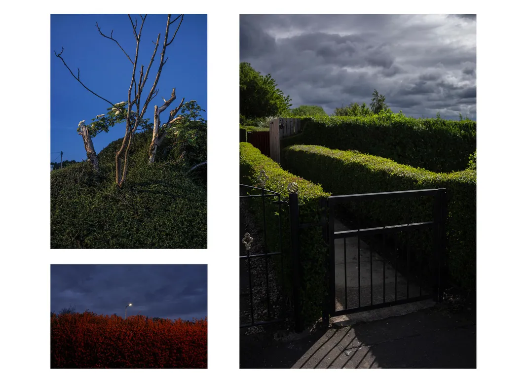 Various hedges shot dramatically