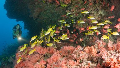 The Top Eight Ocean Stories of 2022