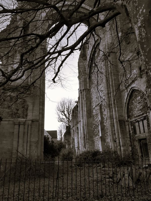 The ruins of Malmesbury abbey thumbnail
