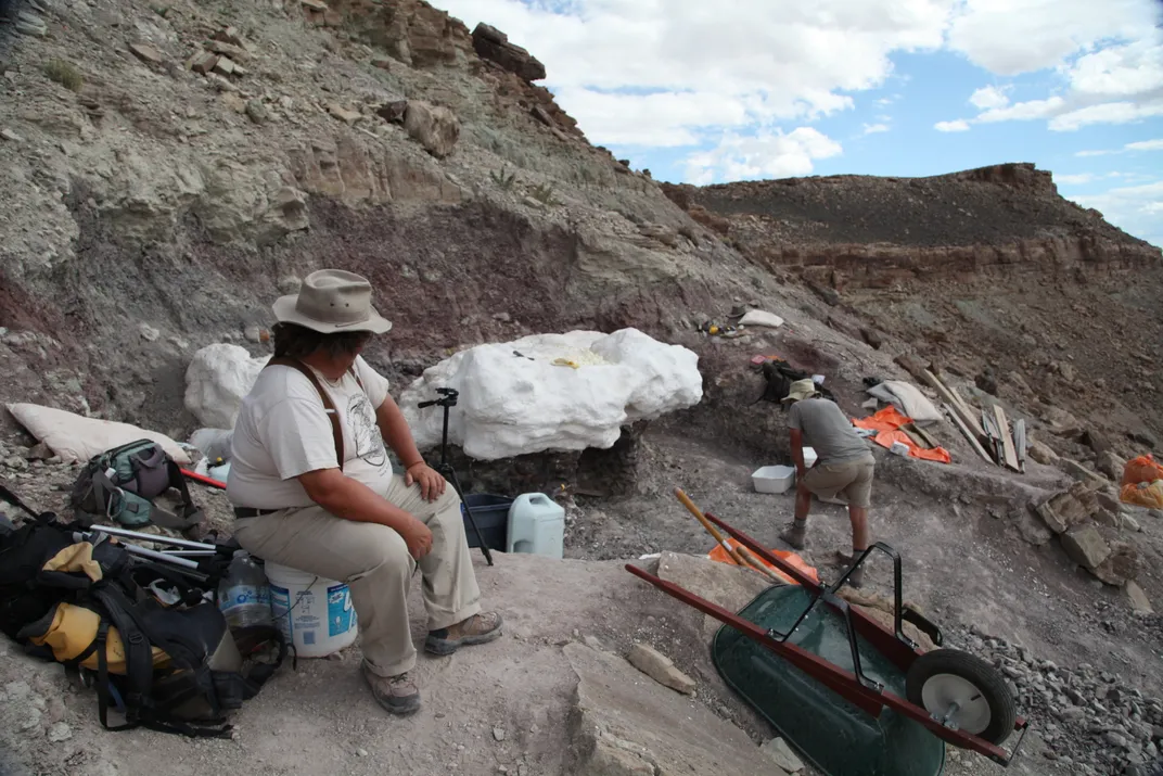 The Continuously Evolving Picture of the World's Largest Raptor | Science| Smithsonian Magazine