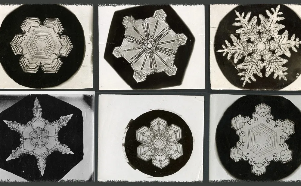 Is it true that no two snowflakes are identical?  Office for Science and  Society - McGill University