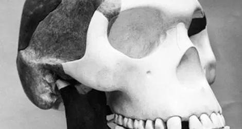 This is the story of a missing link that never was.