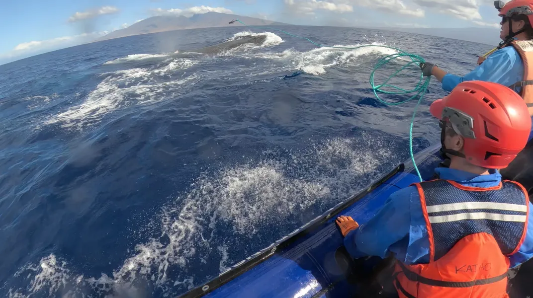 experts with life vests and helmets on a raft throw a grapple into the water