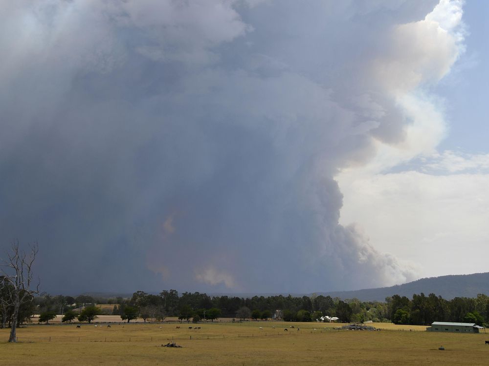 Smoke rising over field near ton of Nowra in New South Wales, Australia