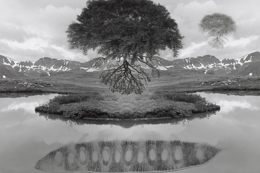 dreamscapes.jpg