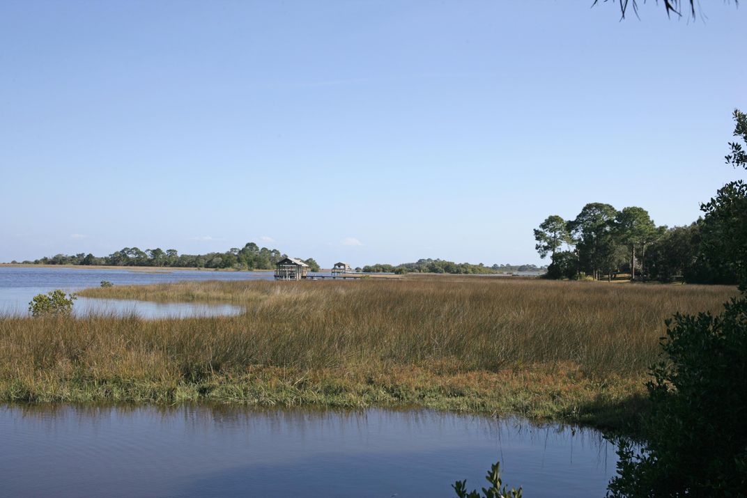 Why Florida’s Lower Suwannee Is an Outdoor Lover's Paradise