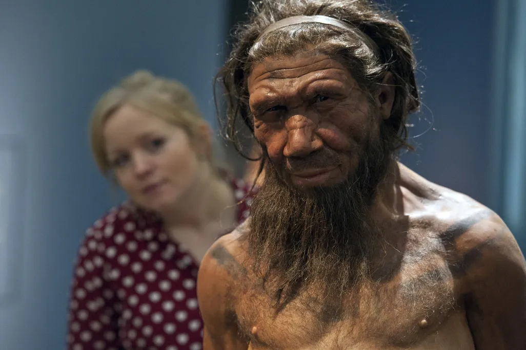 a woman stands behind a model of a neanderthal man, looking over his shoulder