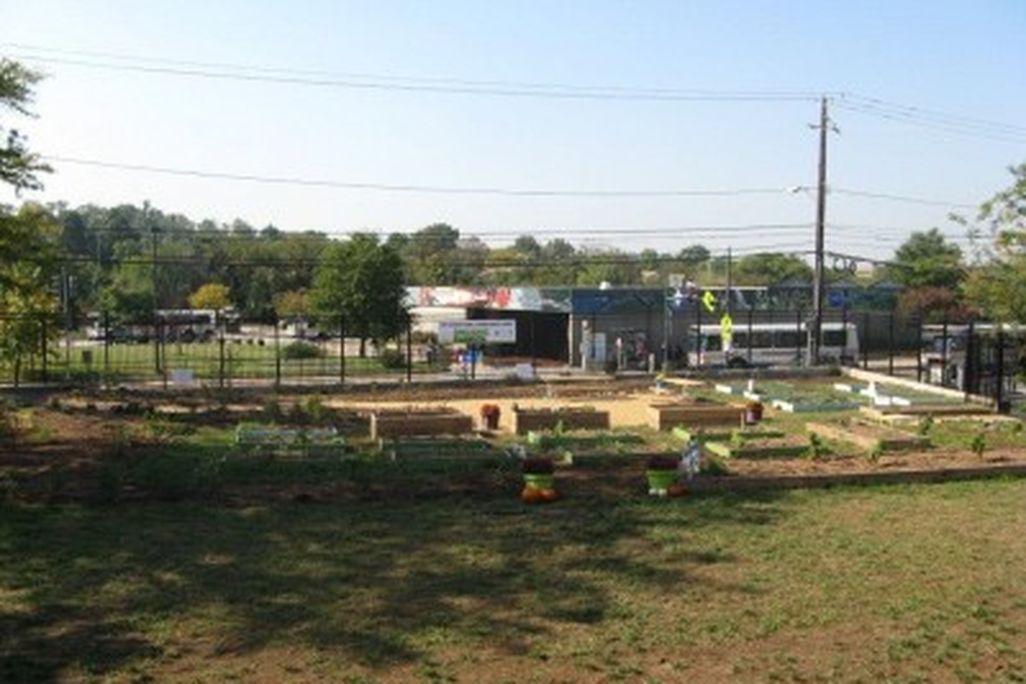 20110520090155earth-day-school-garden-400x300.jpg