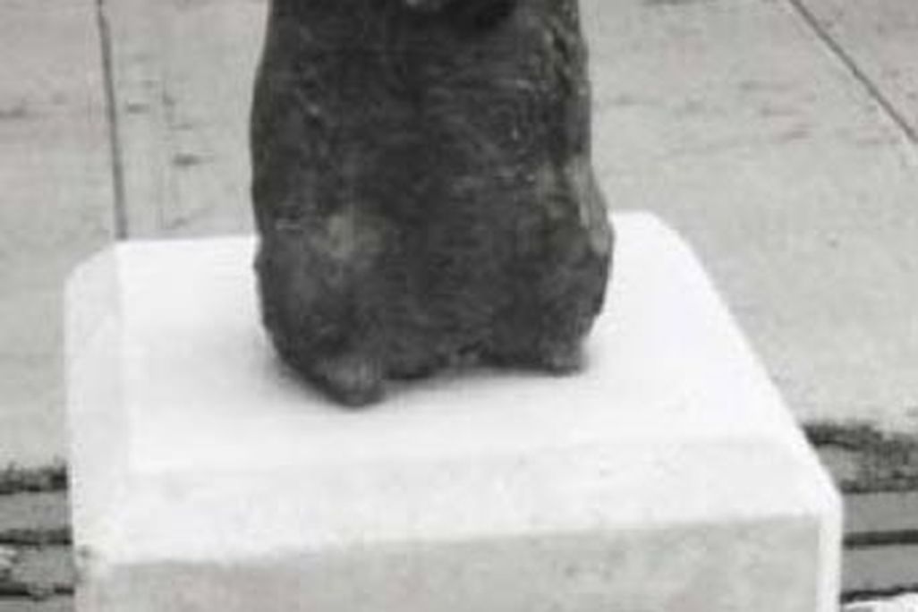 20110520110705punxphil.jpg