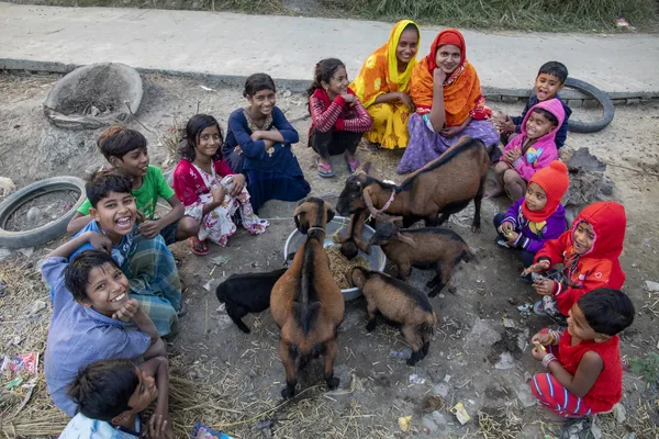 A Circle of Simple Joy thumbnail