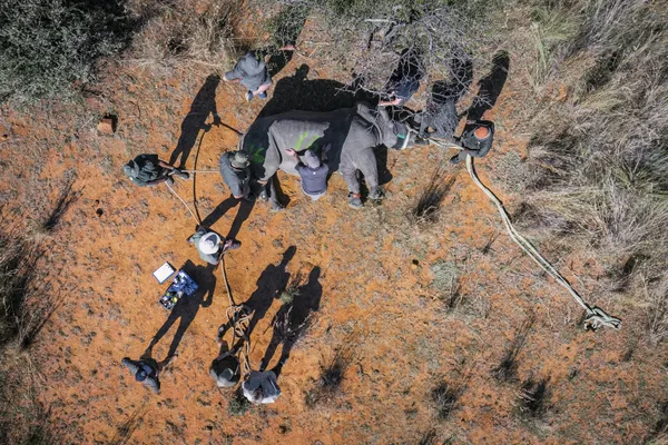 Rewilding 2,000 Rhinos thumbnail