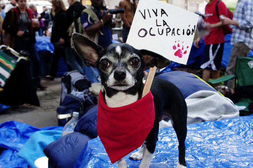 occupy-bank.jpg