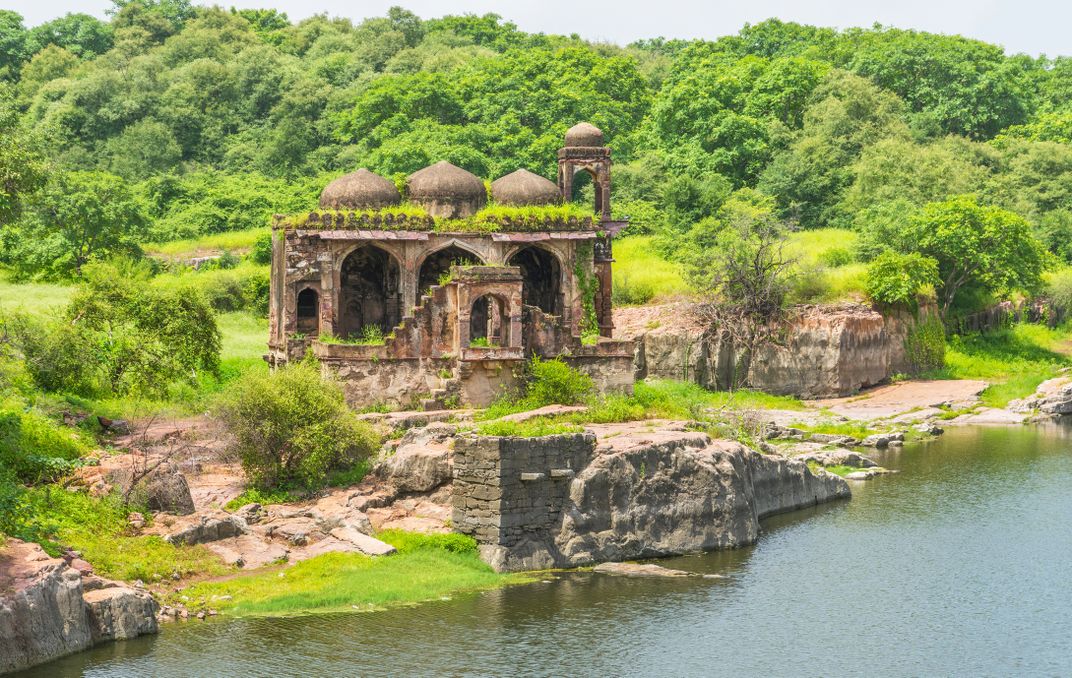 Architectural remains in Ranthambore National Park