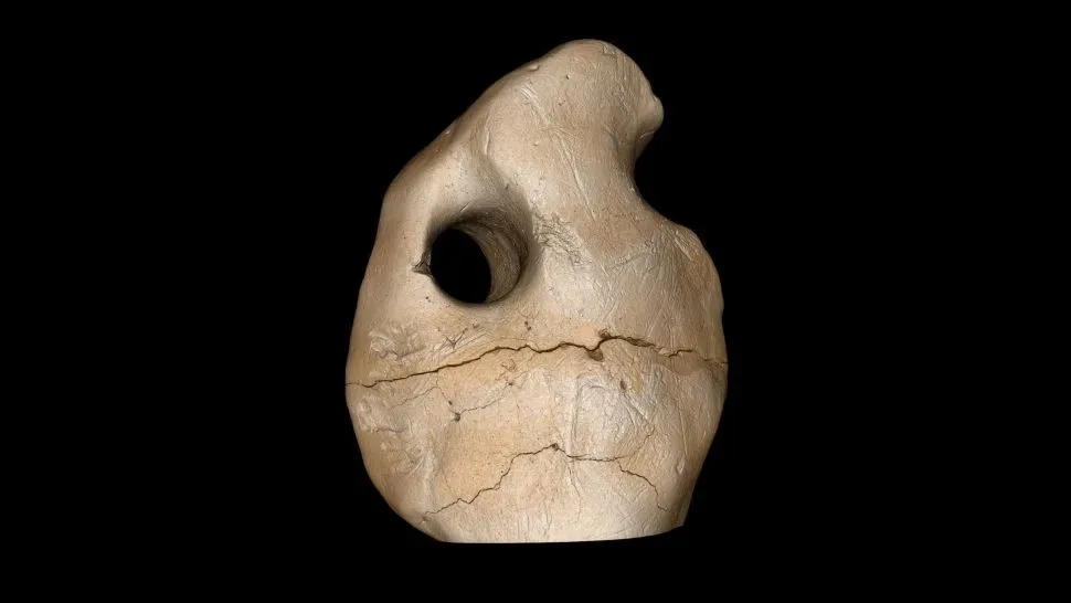 a rounded bone with a hole on the upper left