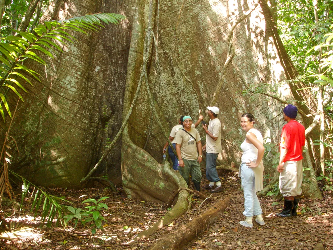 Visiting a big tree on Barro Colorado Island, Panama