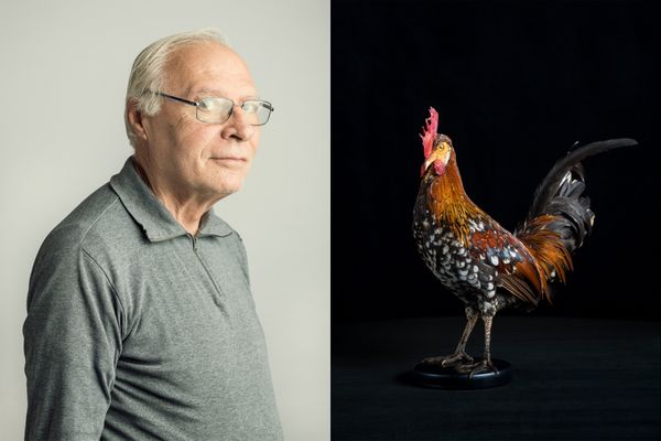 Federico and his rooster lived together for many years in an undetermined past thumbnail