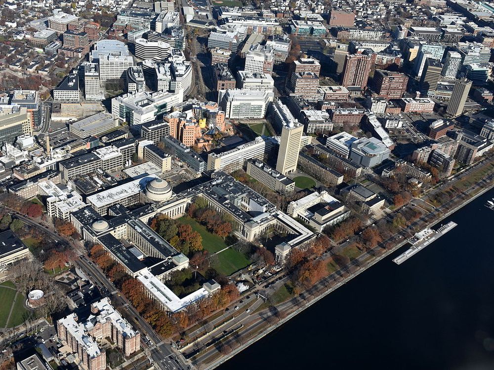 MIT's campus