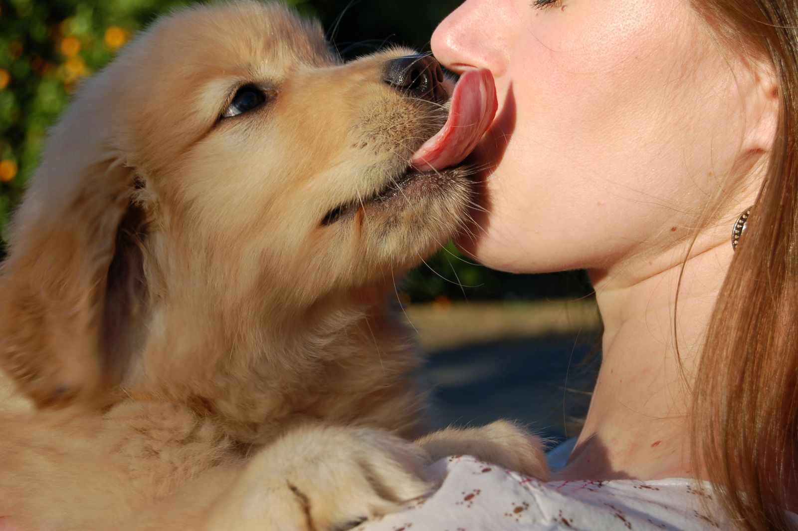 Девушка лижет руку. Собака облизывает. Собака целует. Поцелуй с собакой. Собачий поцелуй.