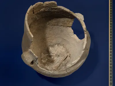This 5,000-year-old ceramic vessel contains burnt food remnants that are helping scientists develop a more comprehensive understanding of food preparation in the region.