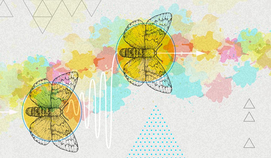 smell-navigation-1600x600.jpg