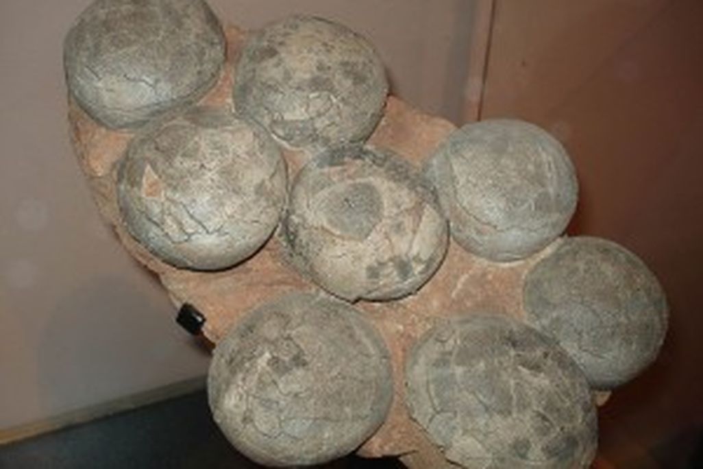 20110520083151dinosaur-eggs-flickr-300x225.jpg