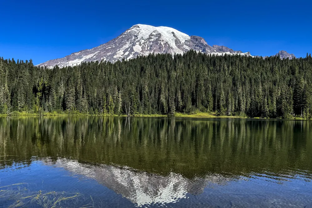 a snowcapped mountain rises above a forest and reflects in a foreground lake