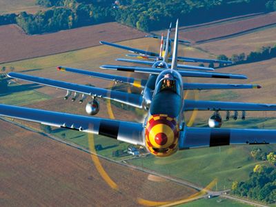 Six Mustangs in trail: Now THAT’s a tight formation.