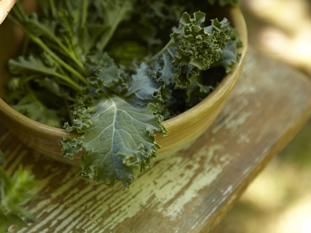 Kale Bowl