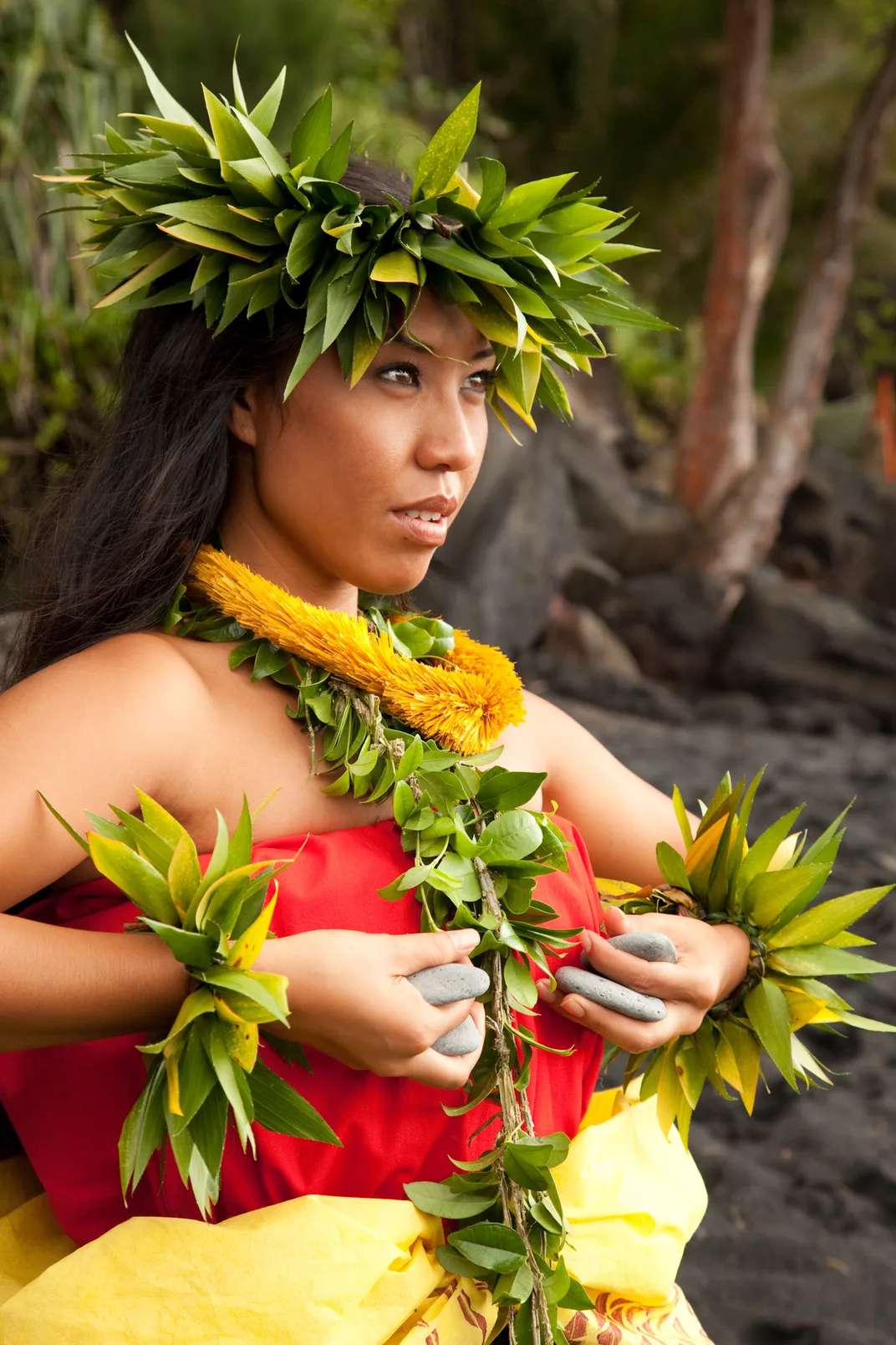 Woman Wearing Traditional Ancient Hula Clothing In Pose Big Island ...