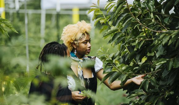 Two young people surrounded by greenery. One person has their hand outstretched towards a leafy bush in front of them.