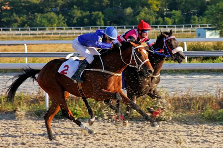 Even large equines can get a little hoarse.