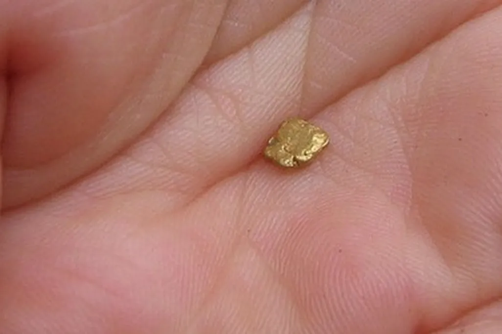 The dream of a gold miner—a nugget so big it can be handled like a small marble.