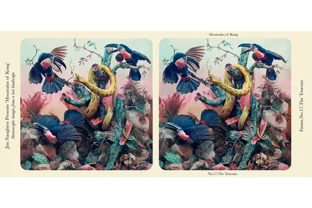 Jim Naughten’s 2017 stereograph, The Toucans, mimics the look of a Victorian image.