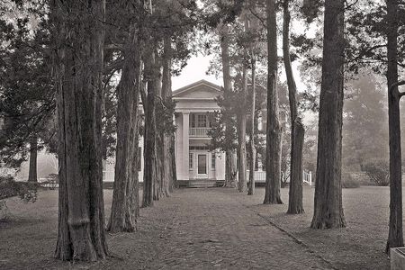House and Cedar-Lined Walk in Mist, October 2003