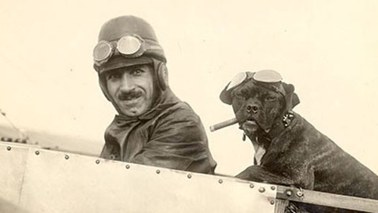 AnimalsAloftFlash.jpg