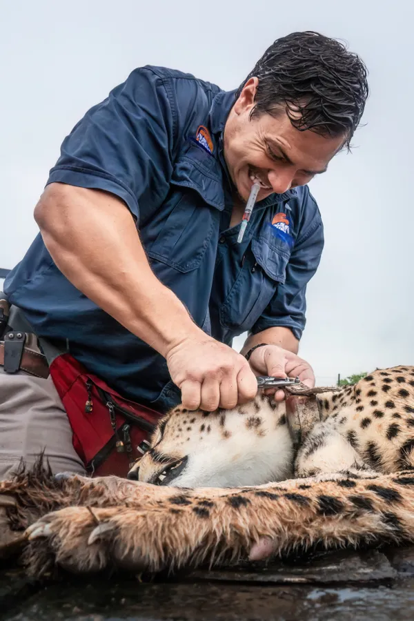 Thank you to Wildlife Veterinarians thumbnail