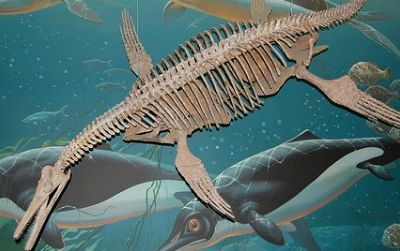 Without science, we wouldn't know that prehistoric creatures, like this short-necked plesiosaur (at the Smithsonian's Natural History Museum) were real