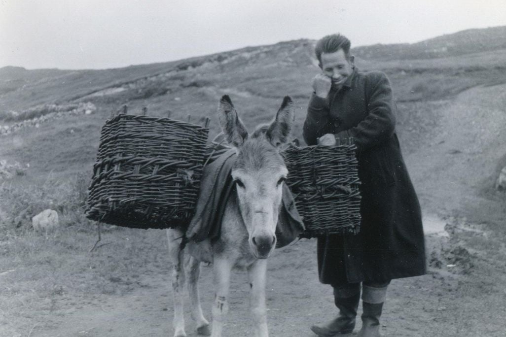 Man with a Donkey