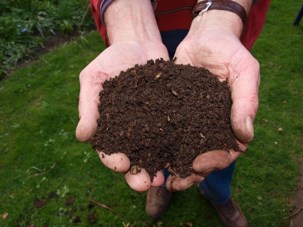 Soil in hands