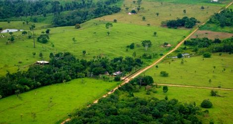 Large swaths of Brazil’s Amazon have been wiped out, but deforestation there is starting to slow.