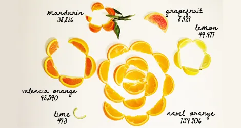 Visualization of California's statewide citrus production volumes.