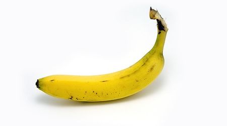 Bananas have been cultivated for thousands of years. But are the days of the familiar Cavendish numbered?
