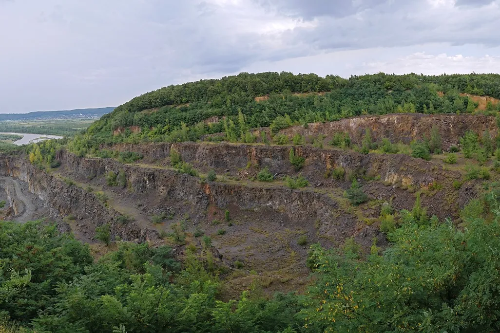Land dug-up at an archaeological site with green trees on top
